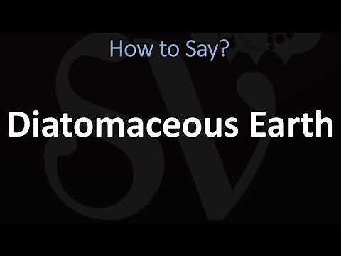 How to Pronounce Diatomaceous Earth? (CORRECTLY)