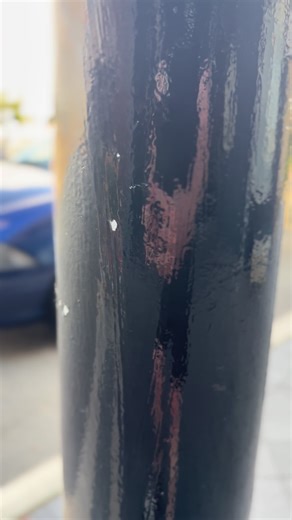 Exploring Perth's AU Falcon: A Comprehensive Overview