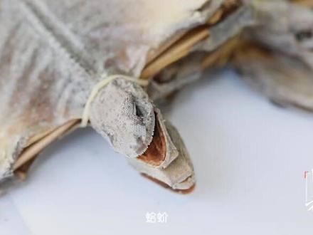 医者：常人见了都害怕的虫，在中医眼里，却是治病的奇药！