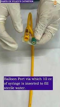 "Exploring the Parts of a Foley Catheter: A Quick Breakdown! 💡💉"