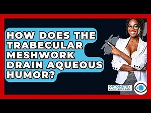 How Does The Trabecular Meshwork Drain Aqueous Humor? - Optometry Knowledge Base