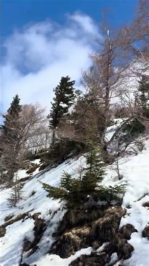 暑くても風が吹いた頂上は涼しい春も楽しめるハンタマ#雪景色 #雪 #snow #スキー場 #ハンターマウンテン塩原 #ハンタマ #ハンター #栃木県