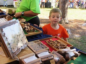Temple Terrace Arts Festival