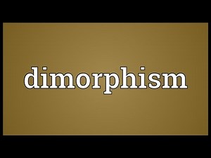 Dimorphism Meaning