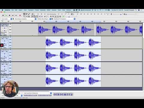 Audacity Editing in multiple tracks