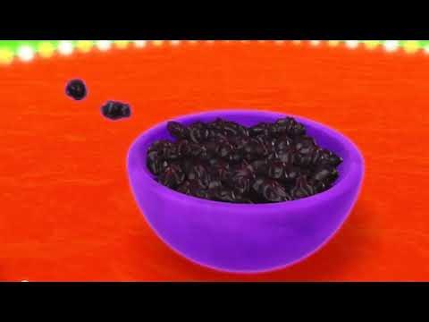 Special Agent Oso - Codename (Quantum Of Celery)