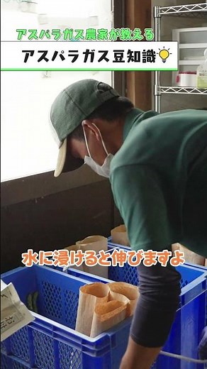 農家の教えるアスパラの保存方法