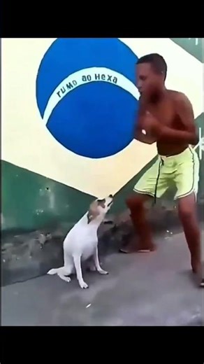 Noob trolling 😂😅#shorts #viral #trending#angst #audio # #noobtrolling #freefire