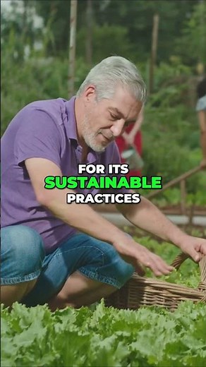 Organic vs Non Organic Farming Environmental Impacts Revealed