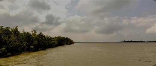 29 reactions | A Day in Sundarbans Journey Through the Mystical Sundarbans Mangroves Boat Ride, Jungle Safari & Local Life  Inside the Kingdom of the Royal Bengal tiger #sondorbon #forest | Swapnendu Nandi | Facebook