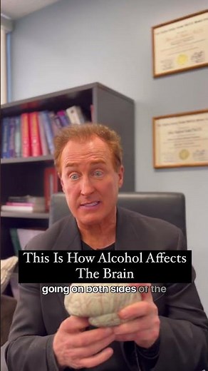 How Alcohol Affects The Brain