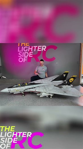 F-14 Model: Frustrating Build, Stunning Result! #shorts