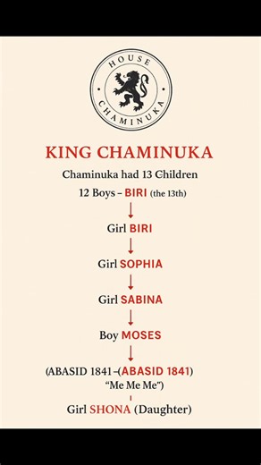 1.5K views · 11 reactions | ⚡ZIMBABWE TAROTA SCROLL ⚡ DOWNLOAD PDF...