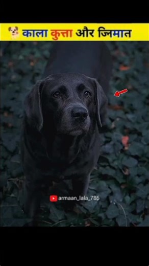 👉काला कुत्ता और जिन्नात👈😱#armaan_lala_786 #islamicvideo #allahquran
