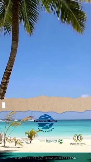 Los 7 Mejores Tours y Excursiones en Punta Cana