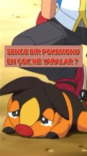 TEPİG : NEDEN TERKEDİLDİ?