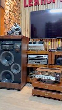 The McIntosh XR7 speakers are easy to pair with other equipment, but they only work well with the...