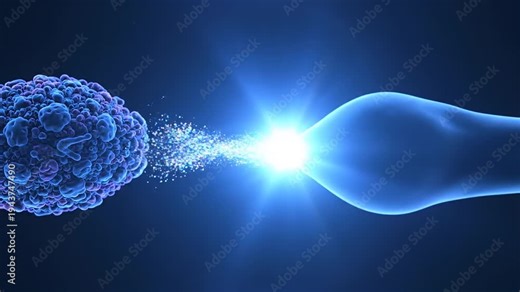 Sperm Cell Fertilizing Egg Cell Animation.