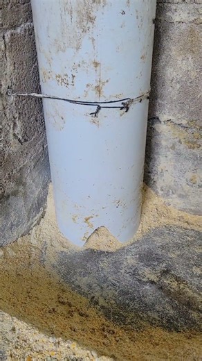 asi queda un comedero automático casero.cerdos felices #campo #robinysugranja#cerditos#granja#cerdos