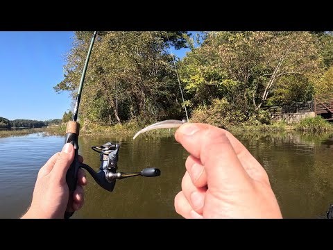 RAW AND UNCUT Ultralight Fishing With Gulp Minnows