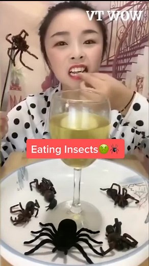 Eating Bugs🤮 #neverfitin #mukbang #grossfood #bugs #insects #asmr #mukbangasmr #spider #foodasmr #challenge #gross #react #reaction #fyp #moosecraft