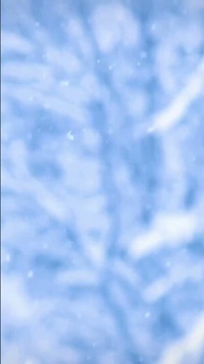 Winter Snowstorm Ambience ❄️ – Cozy Storm Sounds for Calm