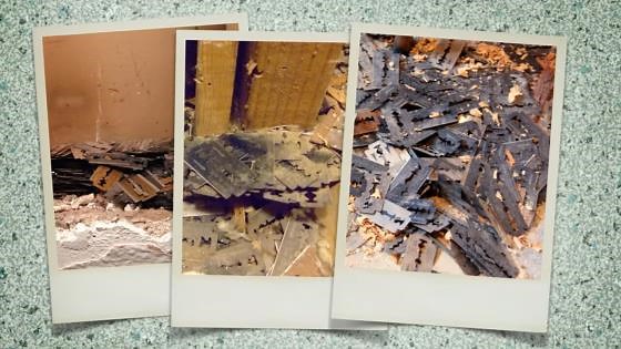What you should know about finding razor blades in your home