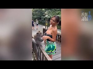 Totally Random Funny Videos of Week #86 Try Not To Laugh - 2025