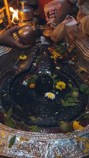 भीमाशंकर ज्योतिर्लिंग अभिषेक | Bhimashankar Jyotirling Jalabhishek | Bhimashankar Abhishek |