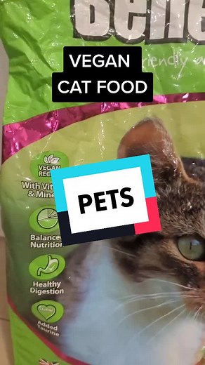 Nutritious Vegan Cat Food Options for Your Feline