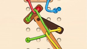 Ropes Woods Tangle Puzzle20250828