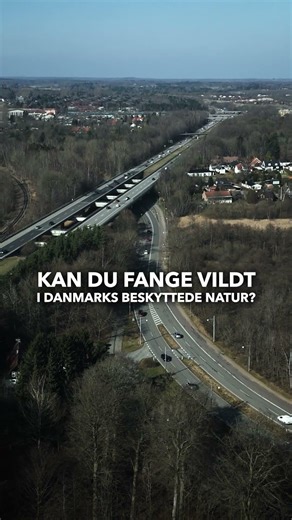 NY SÆSON! Alene i marken