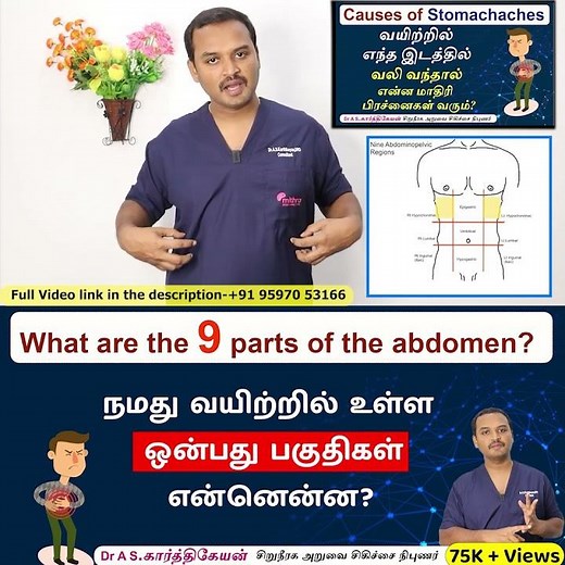 Stomach Pain: Stomach Pain Explained in Tamil | நமது வயிற்றில் உள்ள ஒன்பது பகுதிகள் என்னென்ன