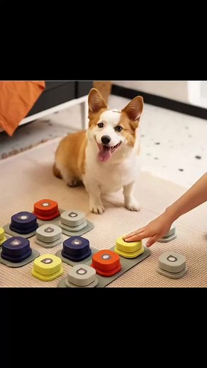 Engaging Pet Training Toy for Positive Learning