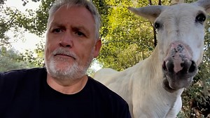 I wonder who it could be? 🤔 | Jacobs Ridge Animal Sanctuary