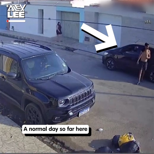 He forget the most important part of parking a car. | Alex Lee