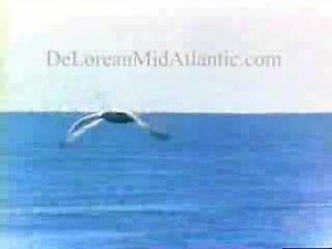 DeLorean Commercial - Live the Dream