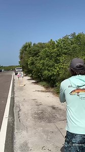 3.9K views · 8.5K reactions | Casting… When we asked saltwater...