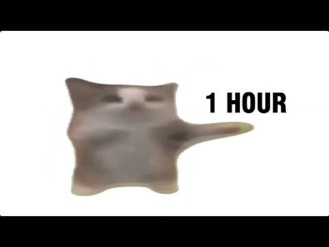 Happy Happy Happy Cat [1 HOUR]