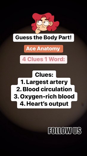 Guess the Body Part! #anatomy #anatomyandphysiology #physiology #anatomyquiz #medicalstudent #usrn #fbreels23 Property of ©Ace Anatomy 271 | Ace Anatomy