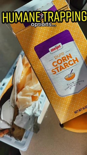 Humane Trapping Methods: Effective Solutions for Dealing with Pests