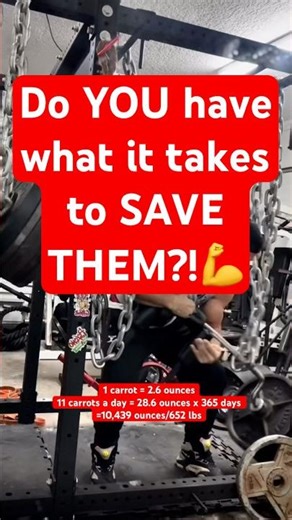 99% of the world CANT DO THIS