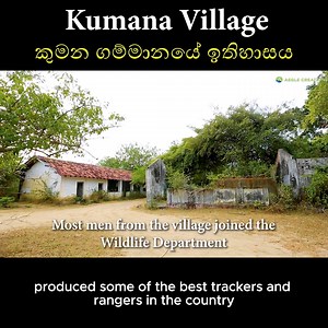 254K views · 4.2K reactions | Towards the southeast corner of Kumana National Park, there's an abandoned village. According to reports, the village was established in the aftermath of the 1818 Great Rebellion. But what happened to the village? Full Video - https://youtu.be/E7Z8Z2EvvAU #srilanka #nature #wildlife #history #srilankahistory #documentary #kumananationalpark #kumana #srilankadaily #lka | Aegle Creations | Facebook