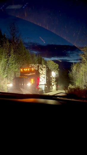 15 reactions | Moose aren’t the only king of the Maine woods! 龜蝹#loggers #mainewoods #loggingtruck #rightofway #workingforests #moosehunting #loggingroads #mainething | Maine Wild Harvest Co. | Facebook