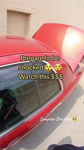 Epic Dumpster Dive , So much $$$ 💰 🤑 money wasted !! DOG BALLS 🐕 lol 😆 #dumpsterdiveking #dumpsterdiving #dumpsterdiver #dogs #sad #epic