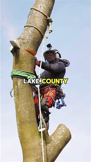 Lake County Tree Service