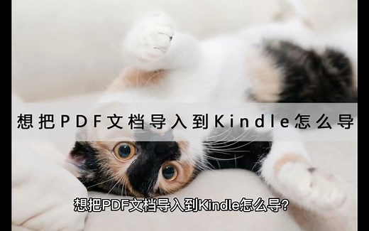 想把PDF文档导入到Kindle怎么导？先转换成电子书格式