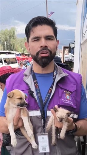 #Cochabamba El jefe de Zoonosis, Diego Prudencio, informó sobre el operativo realizado en el mercado La Pampa, donde se decomisaron alrededor de 12 perros y gatos que eran vendidos en la vía pública. Video: Zoonosis | Los Tiempos Digital