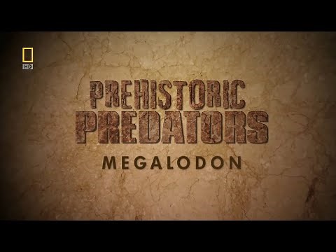 Prehistoric Predators - Ep 4 Megalodon (2009)