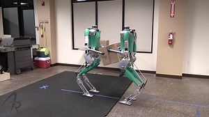 Twin Bipedal 'Digit' Robots Do a Happy Dance After Finishing a Cooperative Job of Stacking Boxes